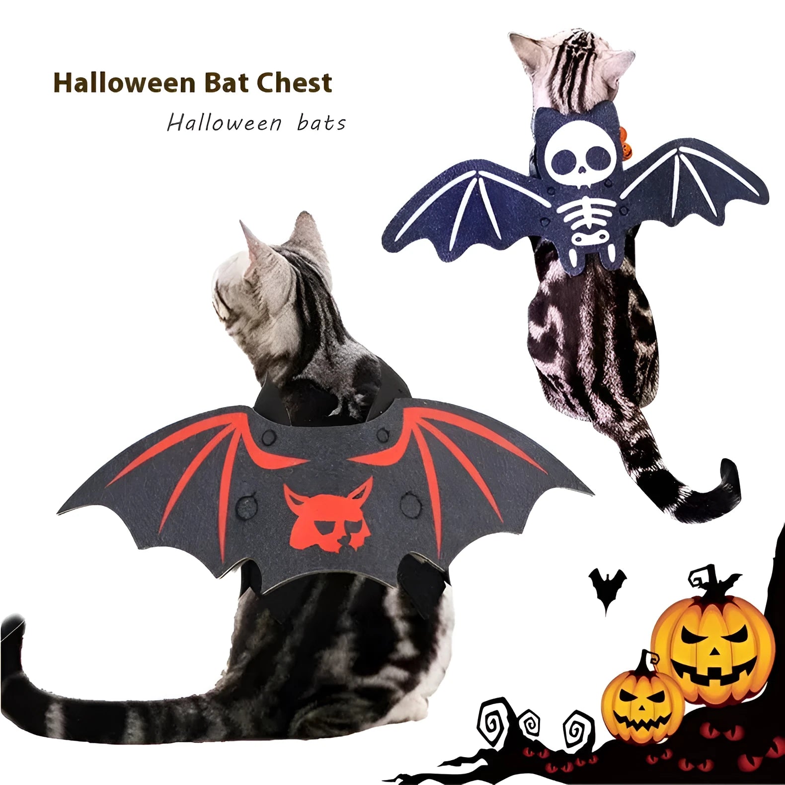 Halloween batwing costume on cat with soft felt construction and bell accessory