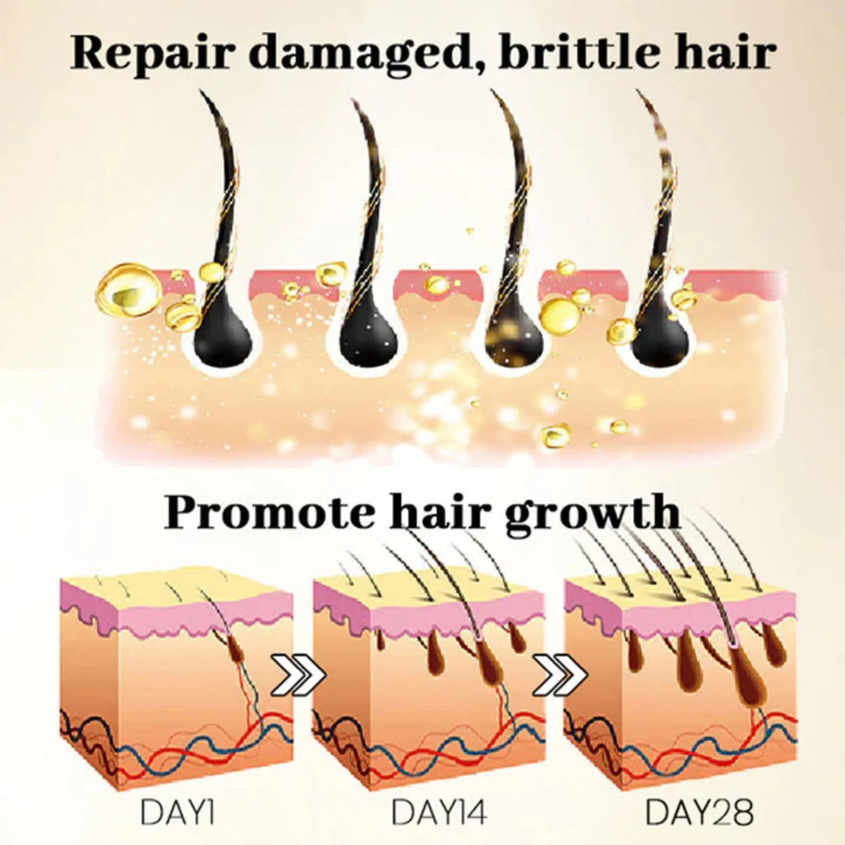 20ml ginseng massage essence bottle with roller ball applicator for scalp hair care