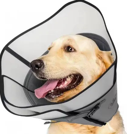 Adjustable polyester pet sterilization collar ring shown in a casual style, available in single or double layer.