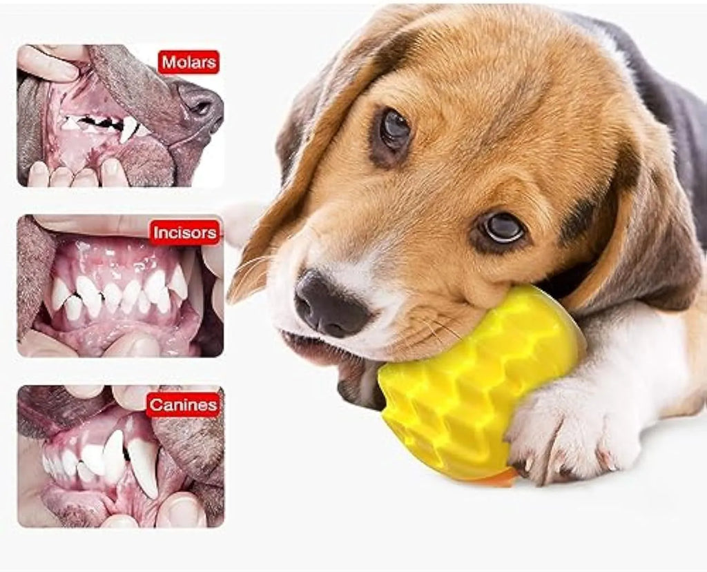 Blue rubber dog ball with spiky texture for dental cleaning and squeaker function