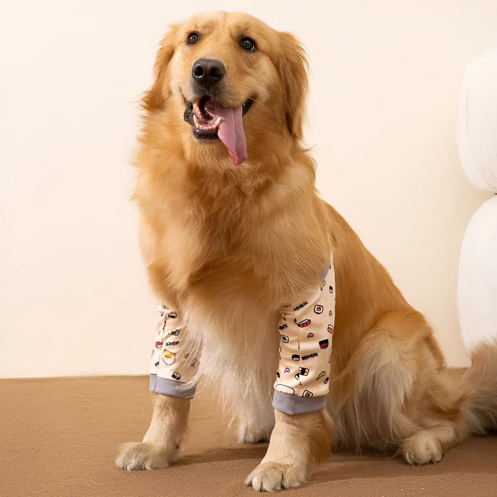 Blue dog knee protector with adjustable straps and matching scarf on a medium-sized dog’s front leg.
