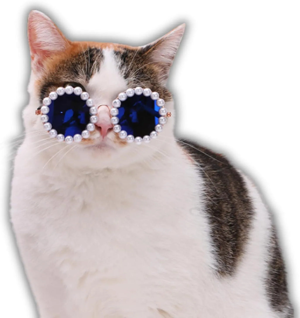 Pearl-rimmed round sunglasses for cats and dogs in multiple colours on a festive background.