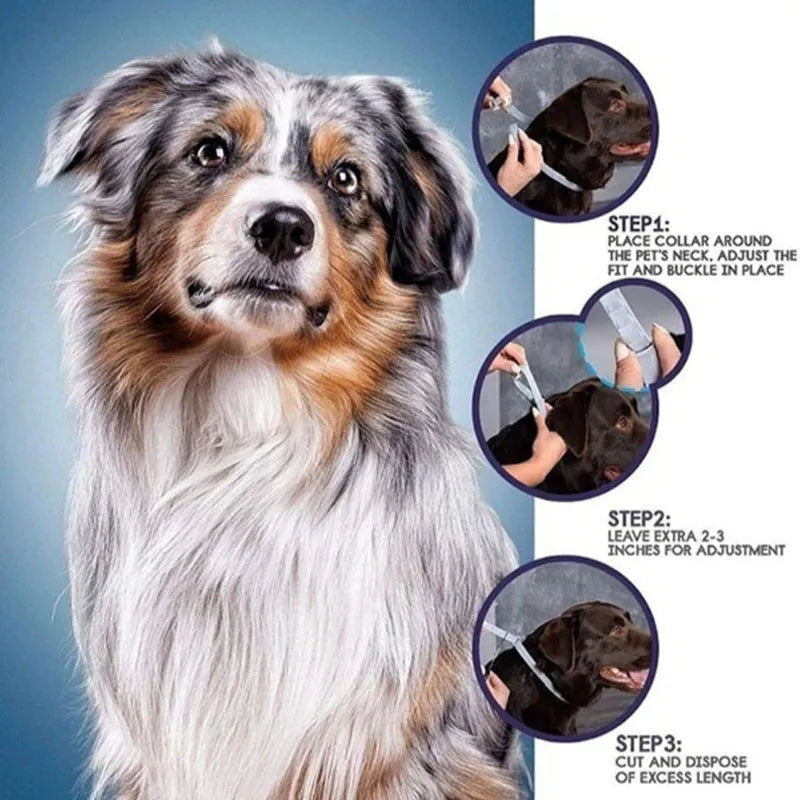 Rainbow-coloured plastic flea collar for cat or dog showing 38cm and 62cm size options