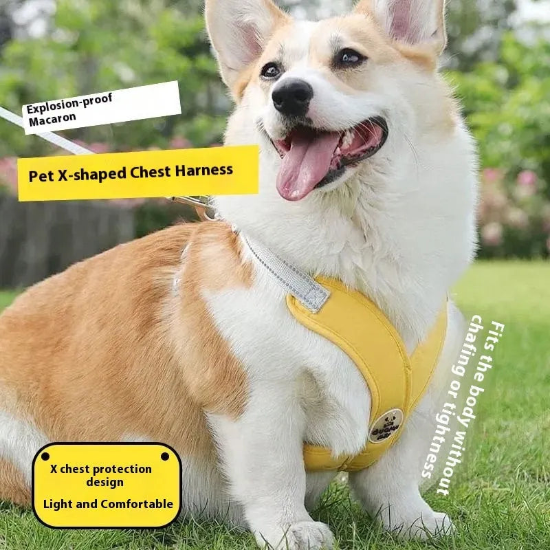 Blue polyester dog vest with an attached hand holding rope laid flat on a white background.