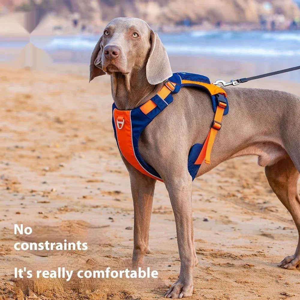 Orange blue nylon dog chest strap vest with hand rope in adjustable vest-style design