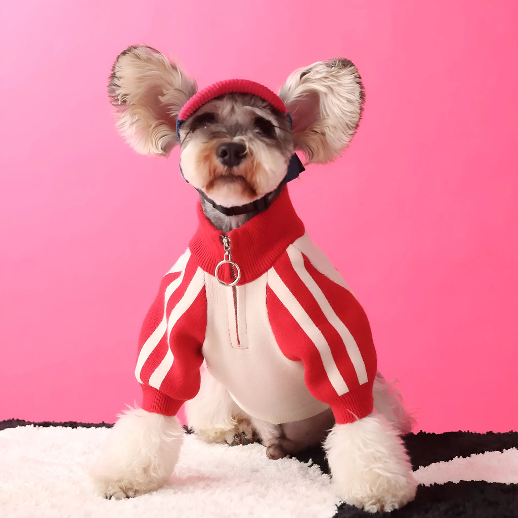Red wool dog sports sweater cardigan for puppies in casual style