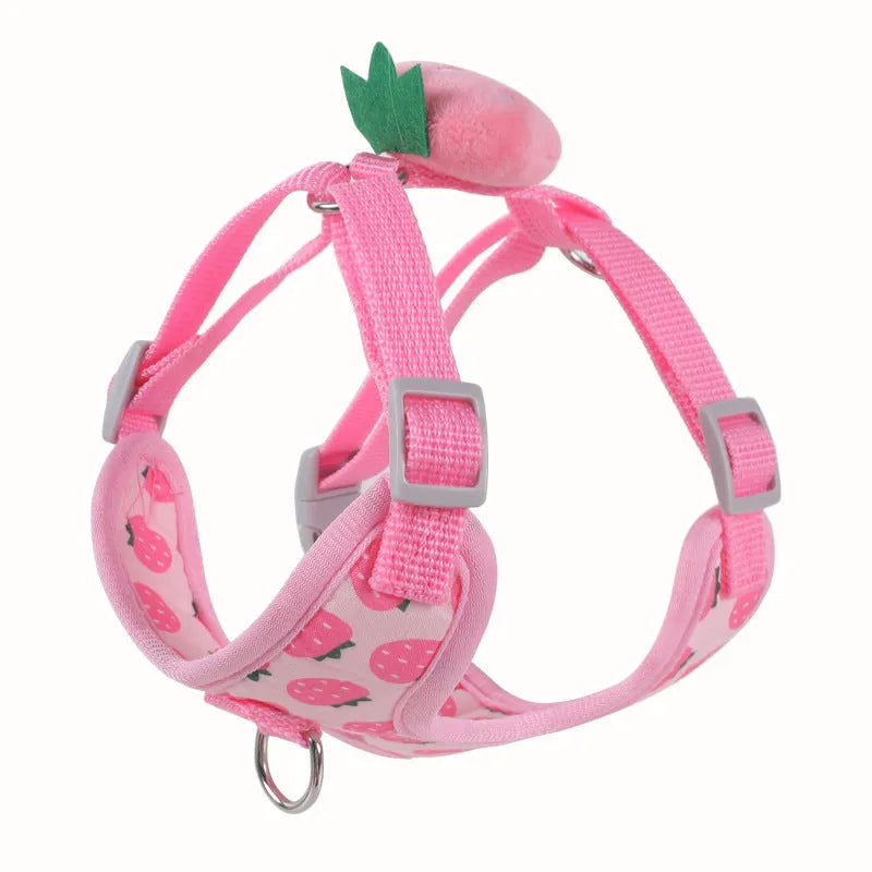 Small dog wearing a green avocado-coloured vest harness with a reflective strip, attached to a hand-held rope.