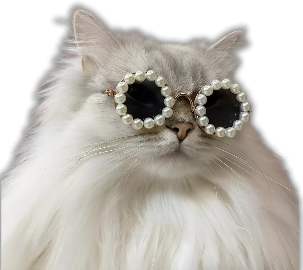 Pearl-rimmed round sunglasses for cats and dogs in multiple colours on a festive background.