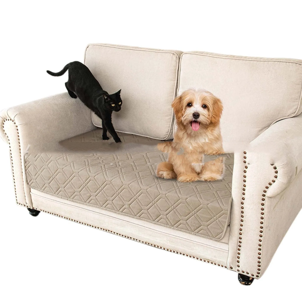 Double-sided waterproof dog sofa cushion in dark grey and light grey contrasting colours on a sofa.