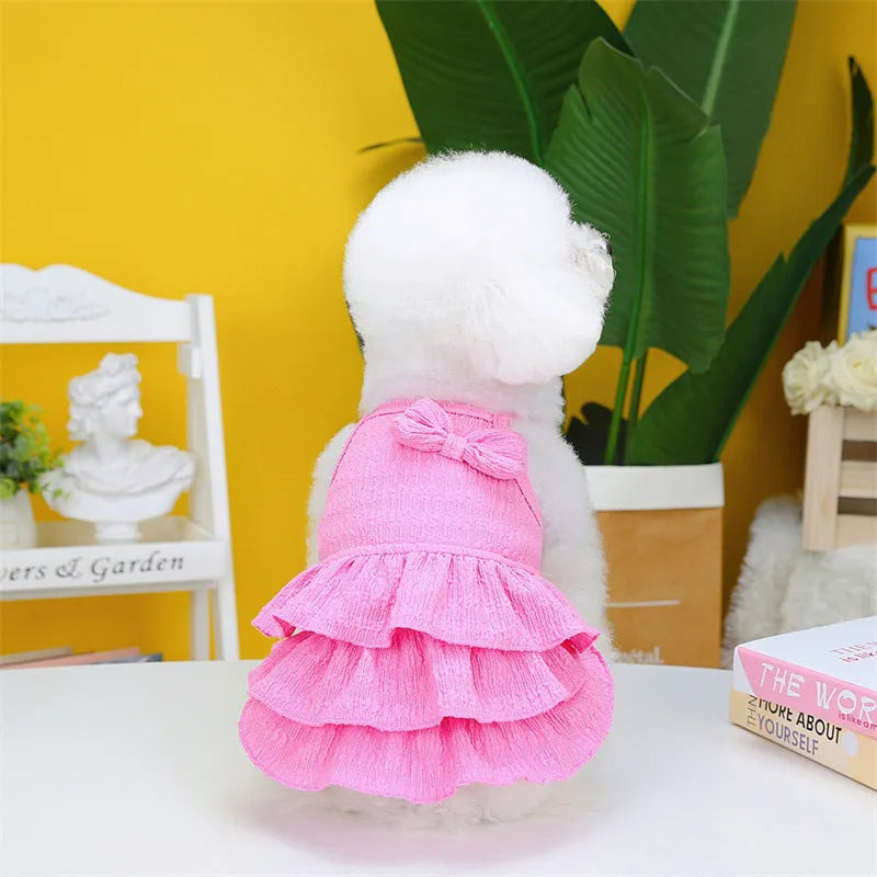 Small dog wearing princess dress with candy layered skirt in rose red colour