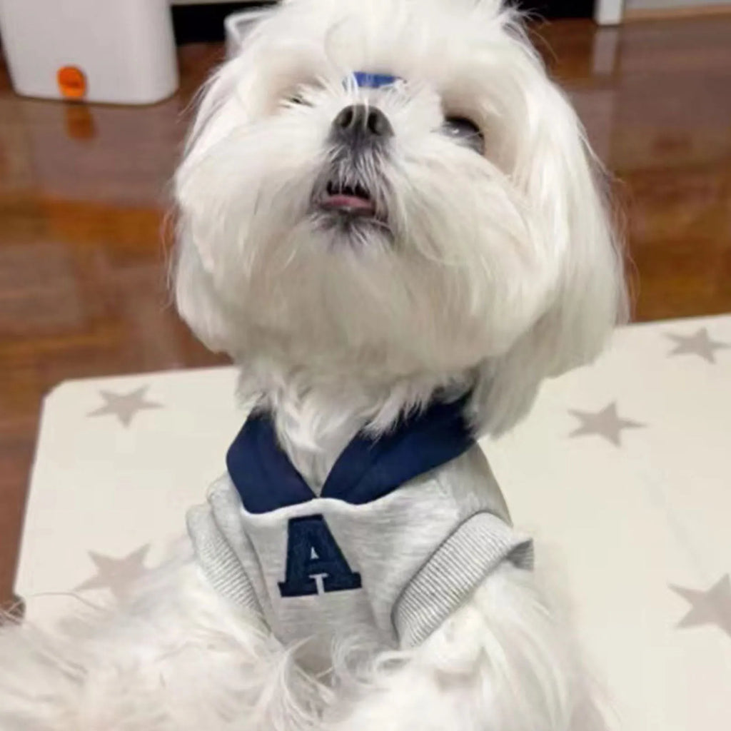 Blue pet hoodie with reflective white letters on a dog, showing slim fit design