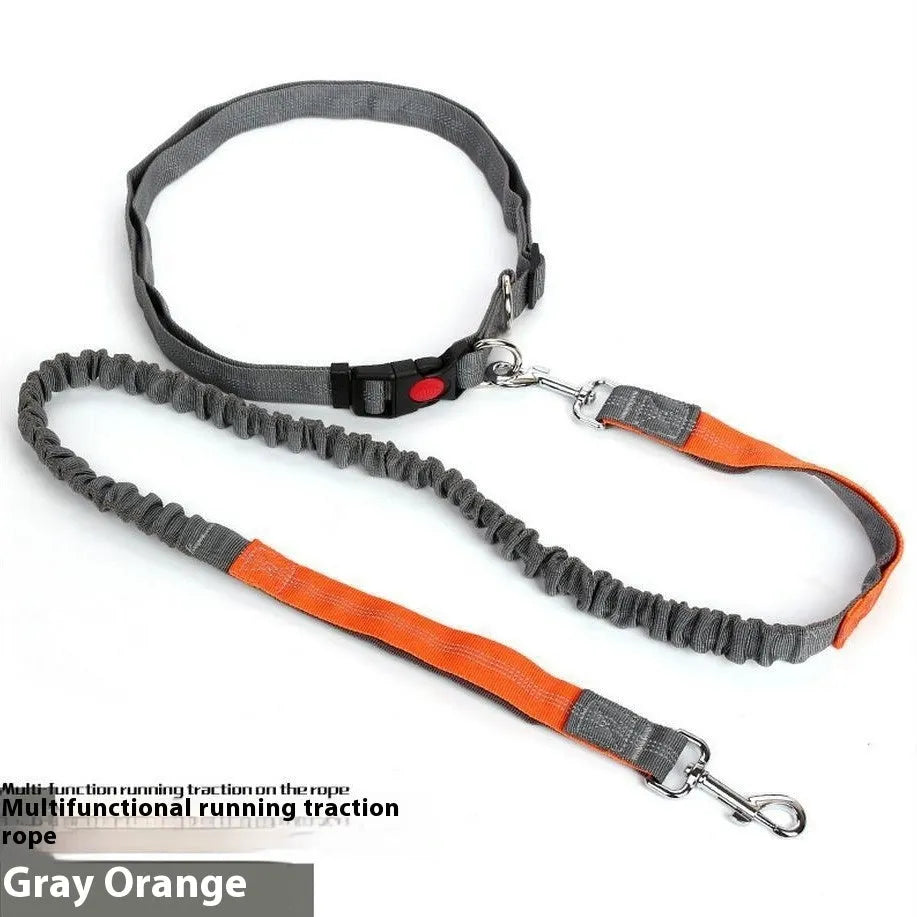 Grey and green reflective elastic dog leash showing 2.5cm width and nylon construction