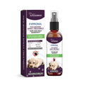 100ml pet bug spray bottle with natural ingredients for dogs and cats