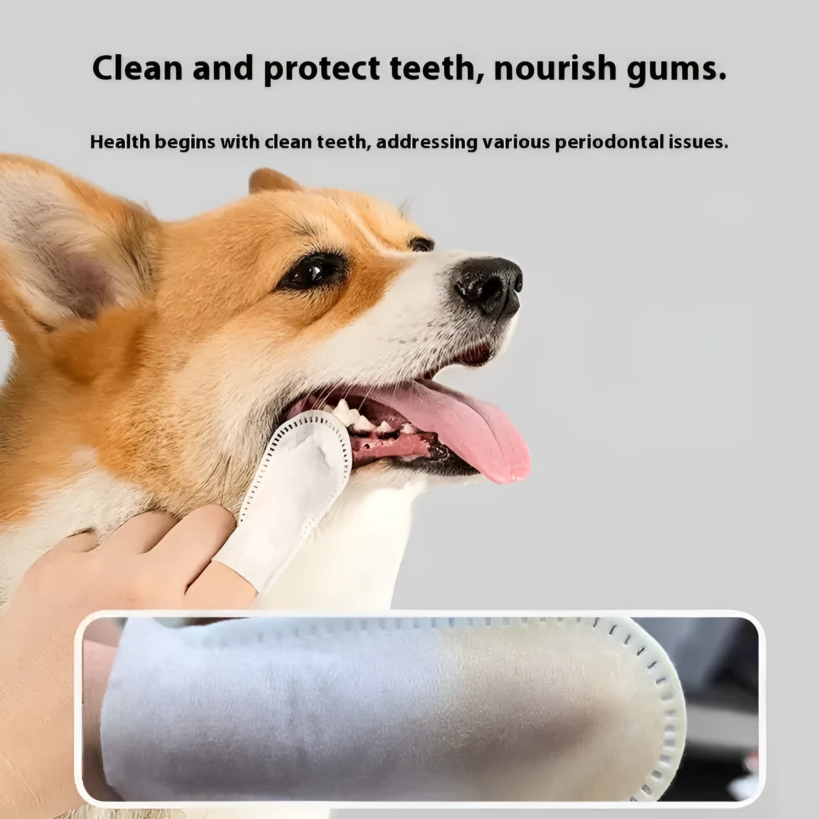 Pack of 50 white non-woven fabric pet dental cleaning finger cots for dogs and cats