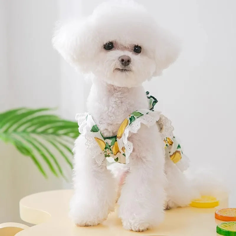 Rock yellow lemon dog skirt dress with thin breathable polyester construction and adjustable straps