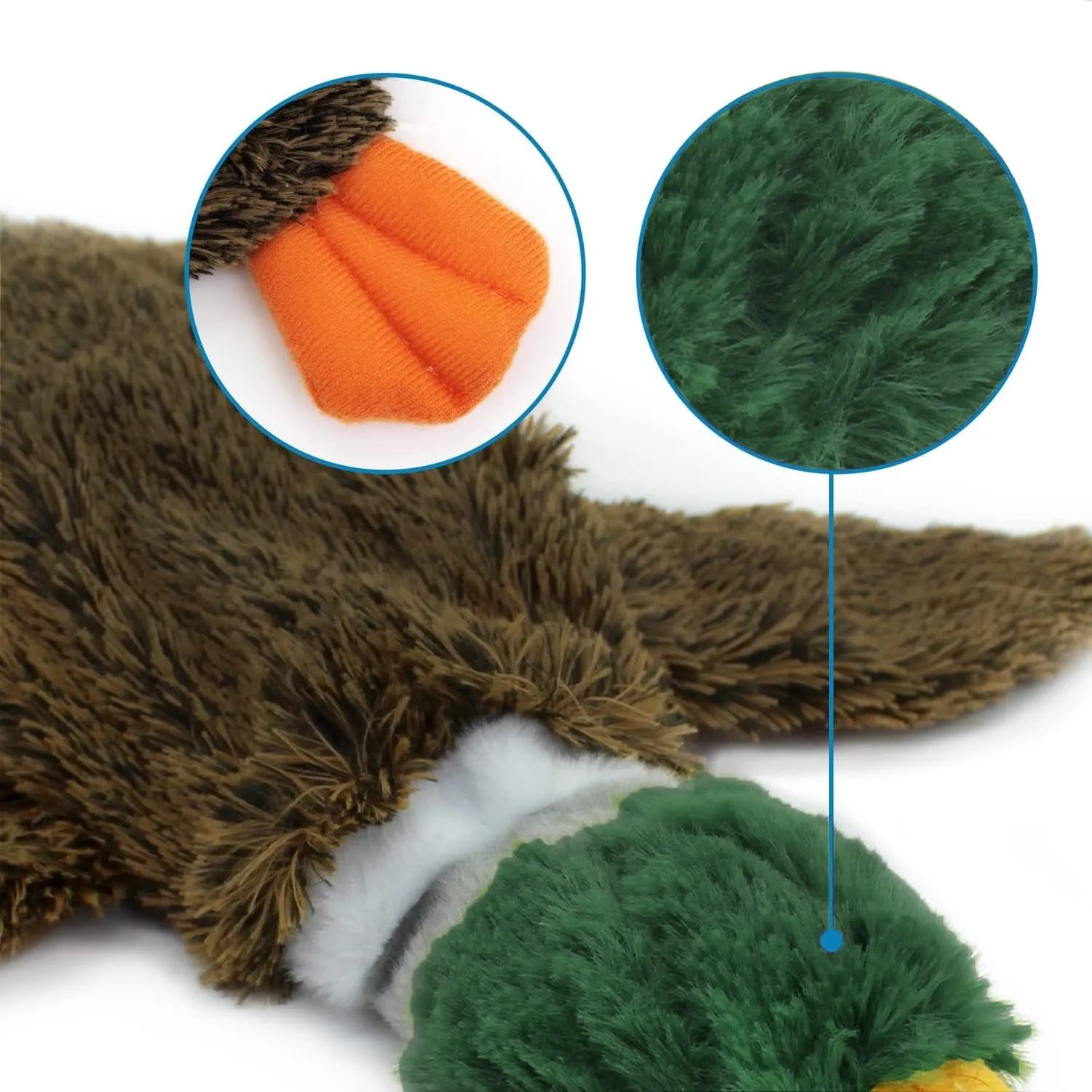 Green stuffless dog toy in wild duck design with squeakers and bottle cavity