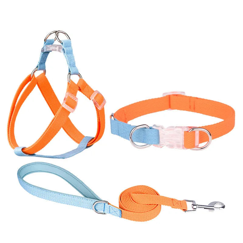 Polyester rib dog collar and lead set in multicolour combination with adjustable sizing