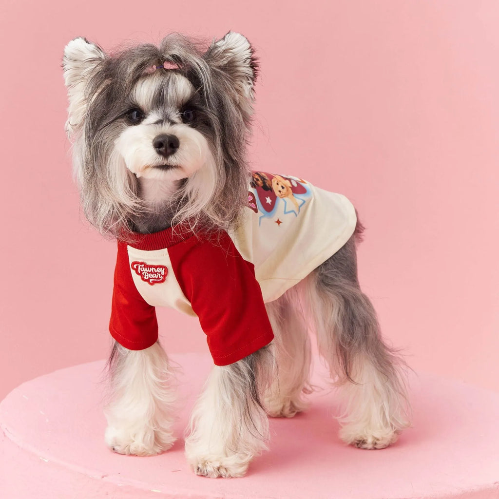 Red embroidered cotton summer dog clothing on a small dog, showing lightweight design.