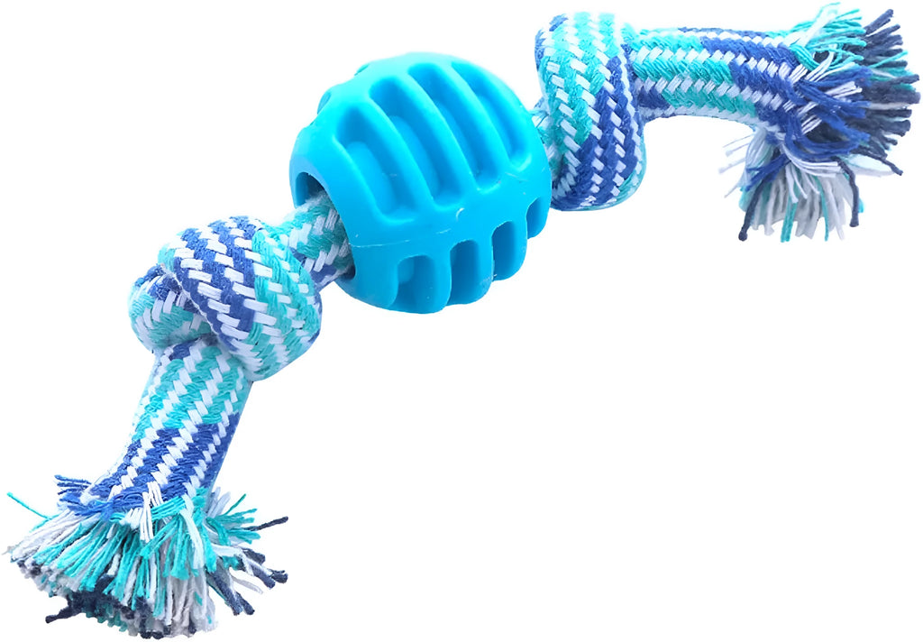 Blue and rope dog dental chew toy for teeth cleaning and interactive play