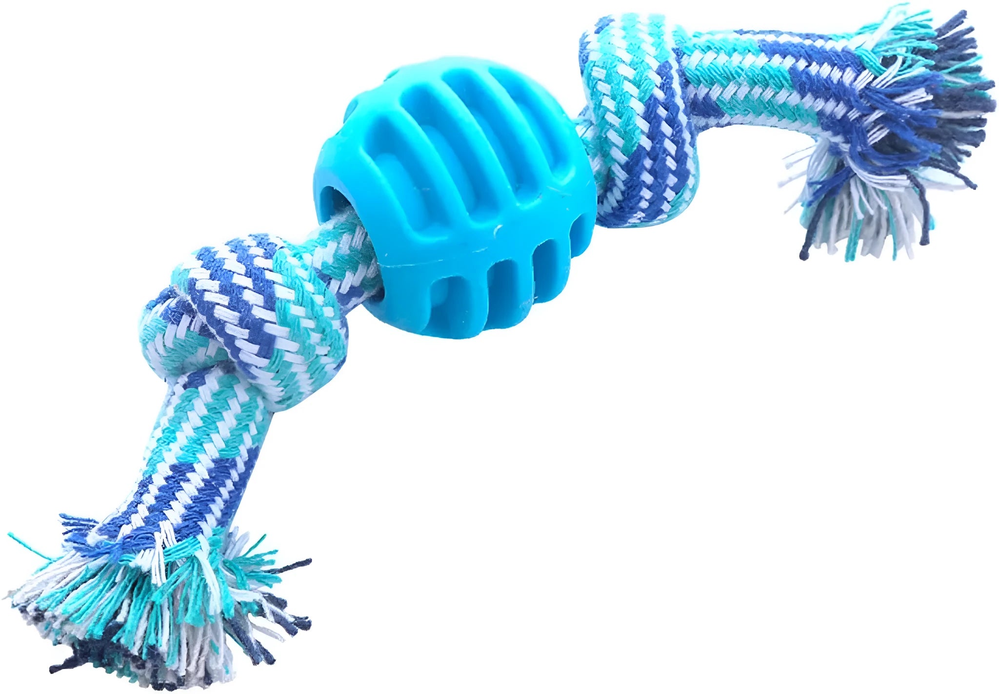 Blue and rope dog dental chew toy for teeth cleaning and interactive play