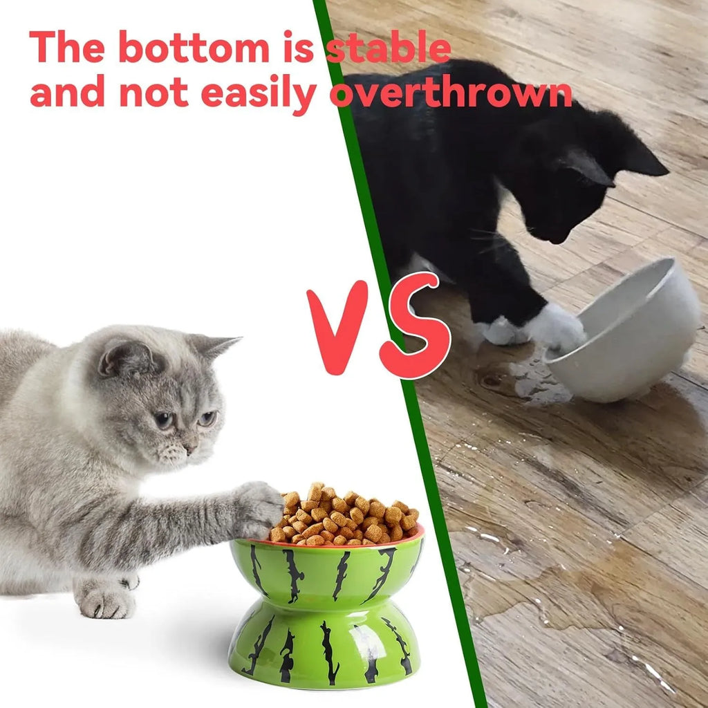 Ceramic elevated cat bowl in orange, pitaya, or watermelon pattern with a tilted, wide design.