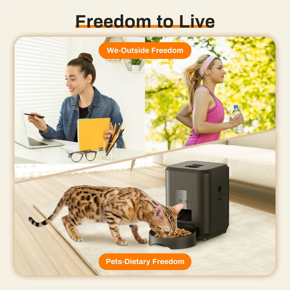 Automatic cat feeder with programmable timing and portion control in white or black
