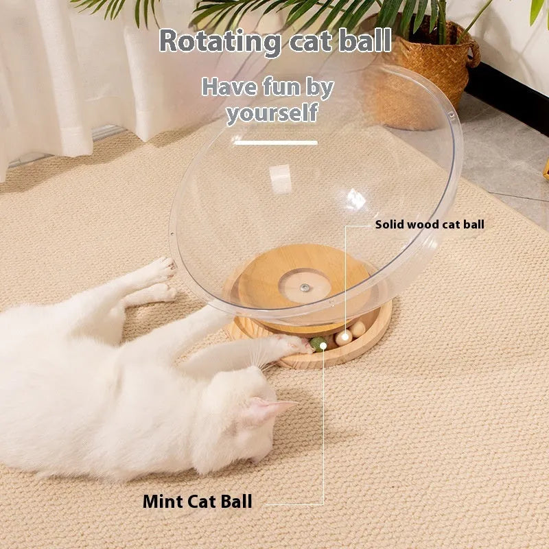 Transparent acrylic cat space capsule bed on a wooden base, showing its bathtub-style design.