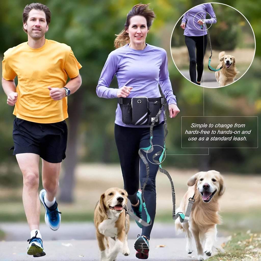 Black nylon dog walking waist bag set with leash and collar for hands-free outdoor training