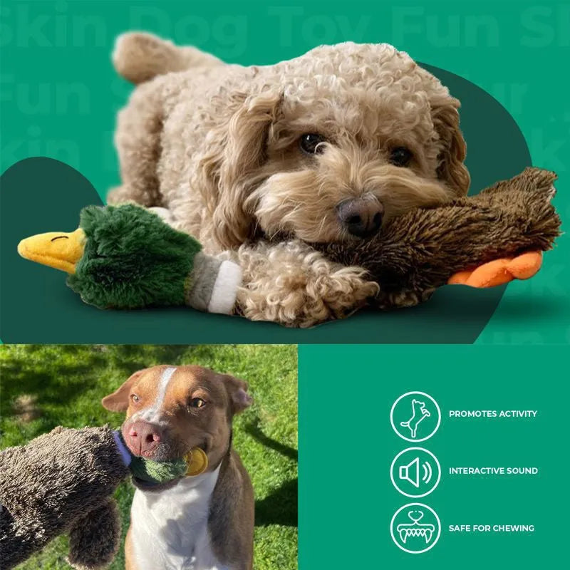 Green stuffless dog toy in wild duck design with squeakers and bottle cavity