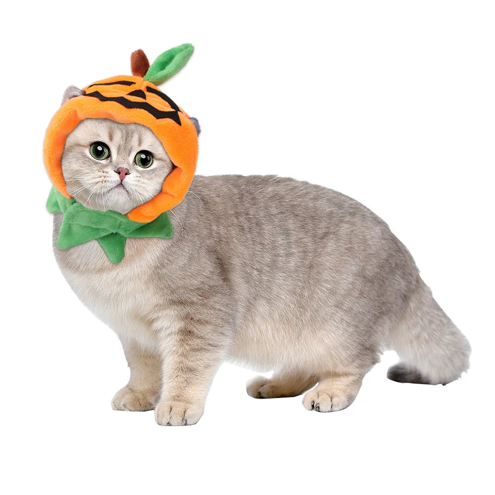 Orange pumpkin print double-sided plush cloak with matching hat on a dog for Halloween.
