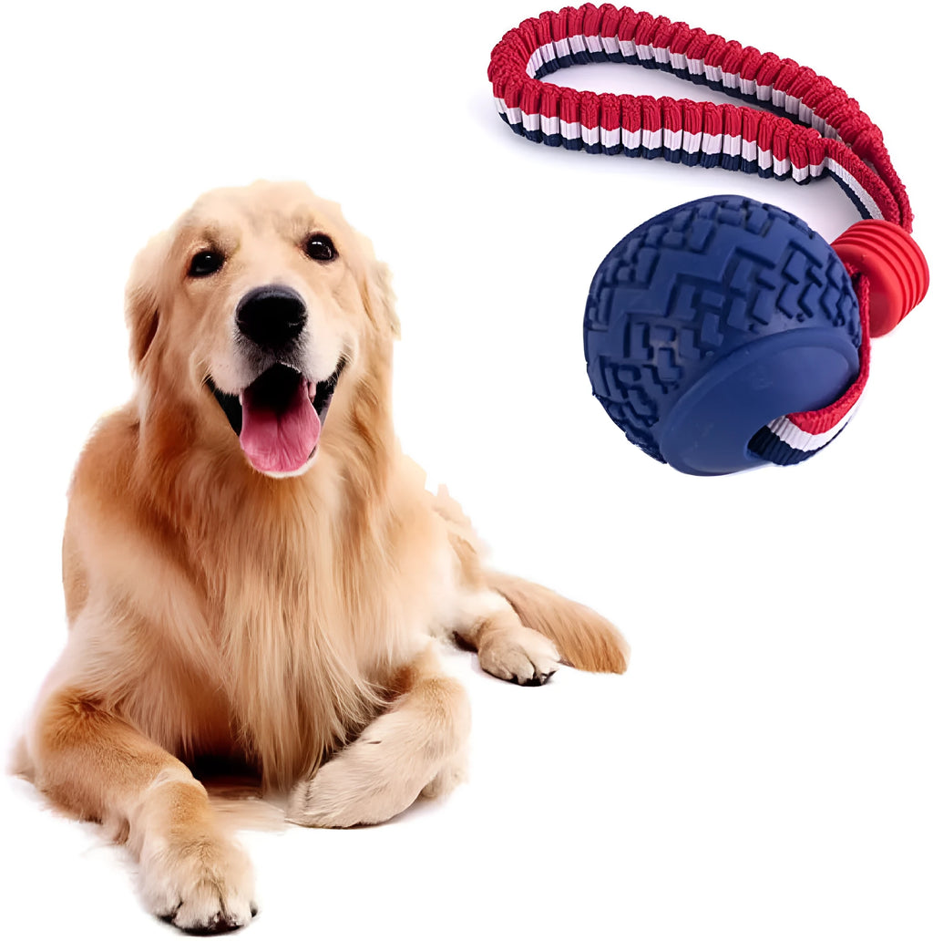 Blue dog ball with rope toy showing natural rubber ball and rope handle for medium and small dogs