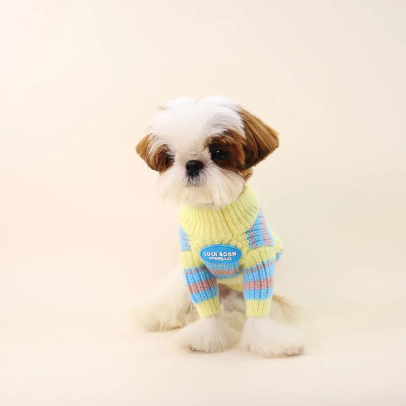 Blue and yellow striped wool dog sweater for small breeds like Schnauzer and Bichon.