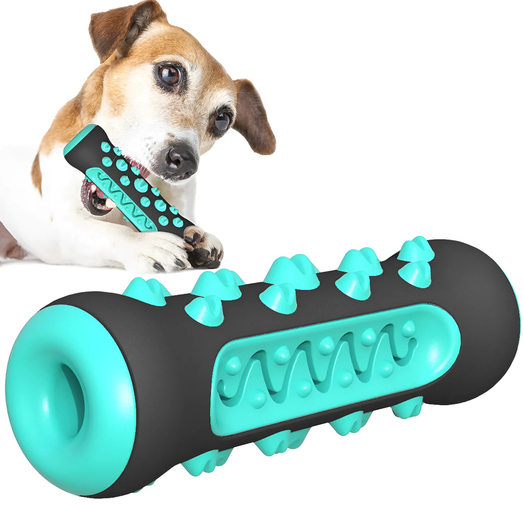 Natural rubber dog dental chew toy in blue colour with textured cleaning ridges