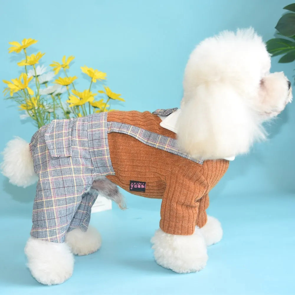 Orange and dark blue cotton dog suit shirts shown in sizes S through 2XL for small dogs
