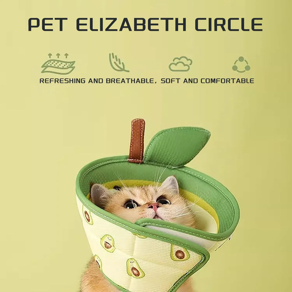 Soft EPE cat recovery cone collar with adjustable strap shown on cat
