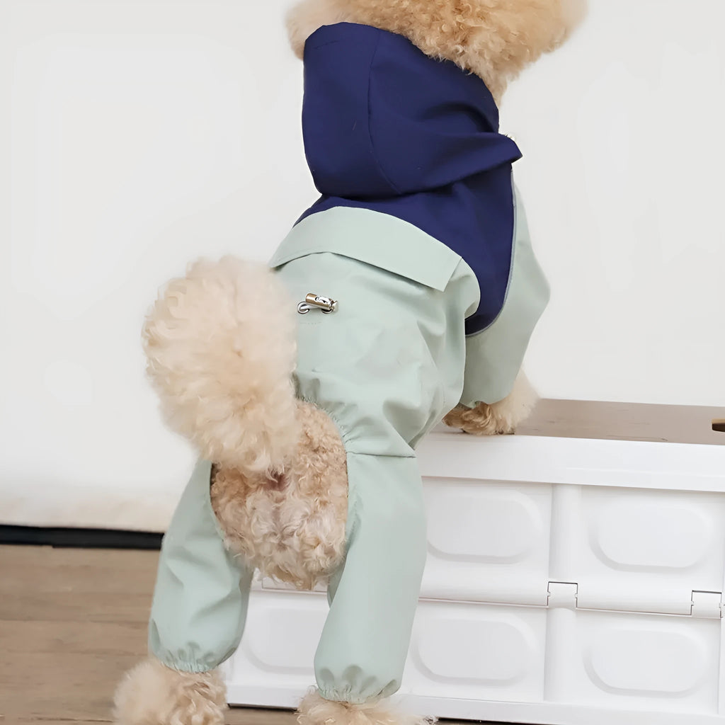 British style waterproof polyester dog jacket for small and medium sized dogs
