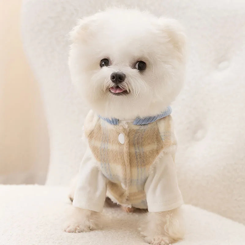 Blue corduroy dog vest with chessboard pattern and hood, size guide showing weight ranges