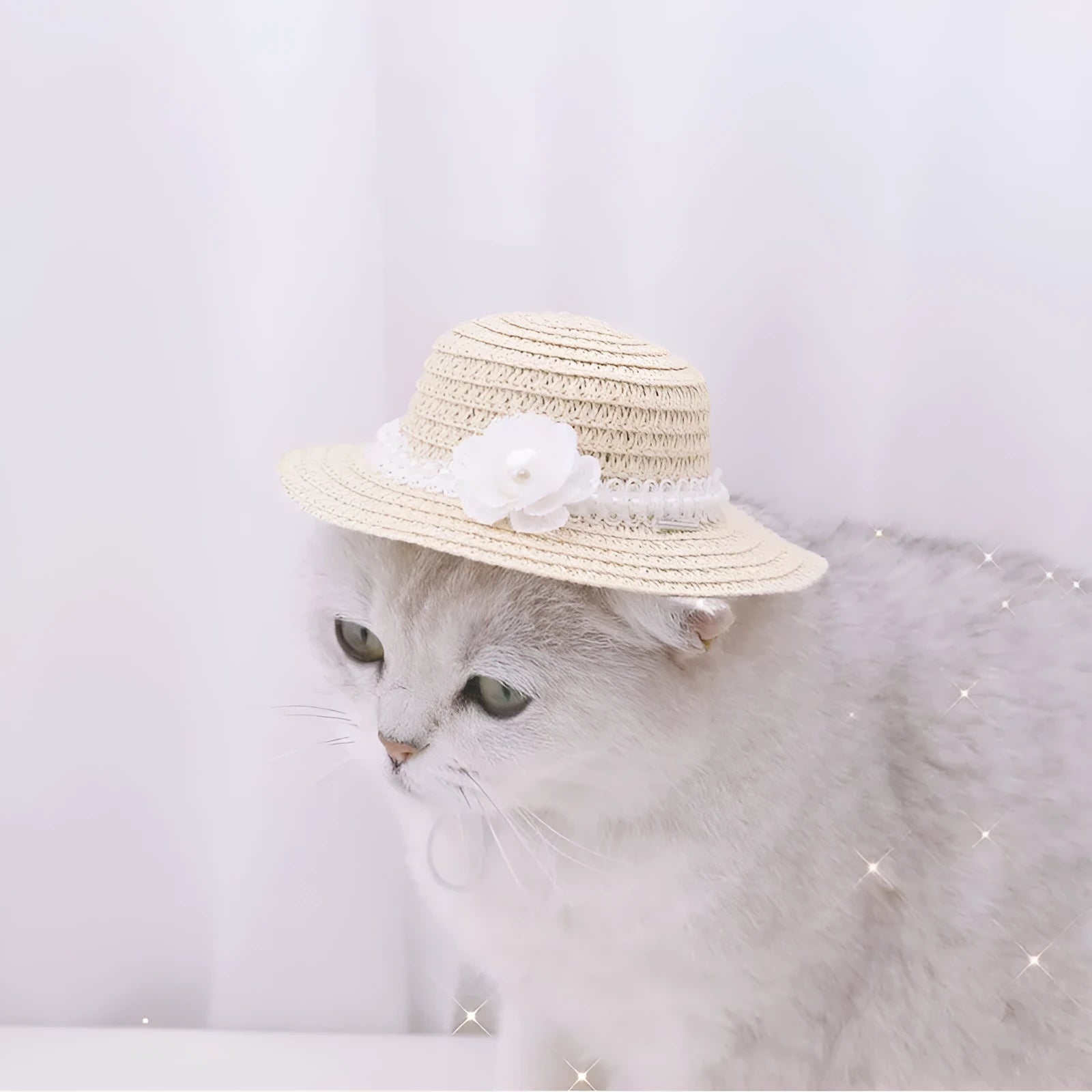 Handmade adjustable bowknot pet hat for dogs and cats in cartoon style