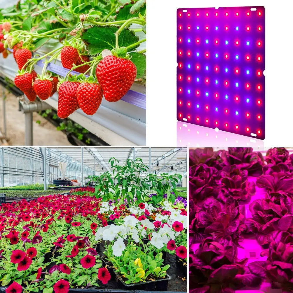 Indoor LED plant growth light with hook for hanging, aluminium shell, full spectrum for fruits and vegetables