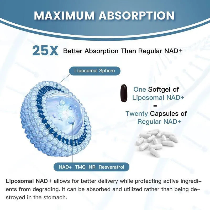 Bottle of Nicotinamide Mononucleotide Gel capsules with a choice of 60 or 120 pieces.