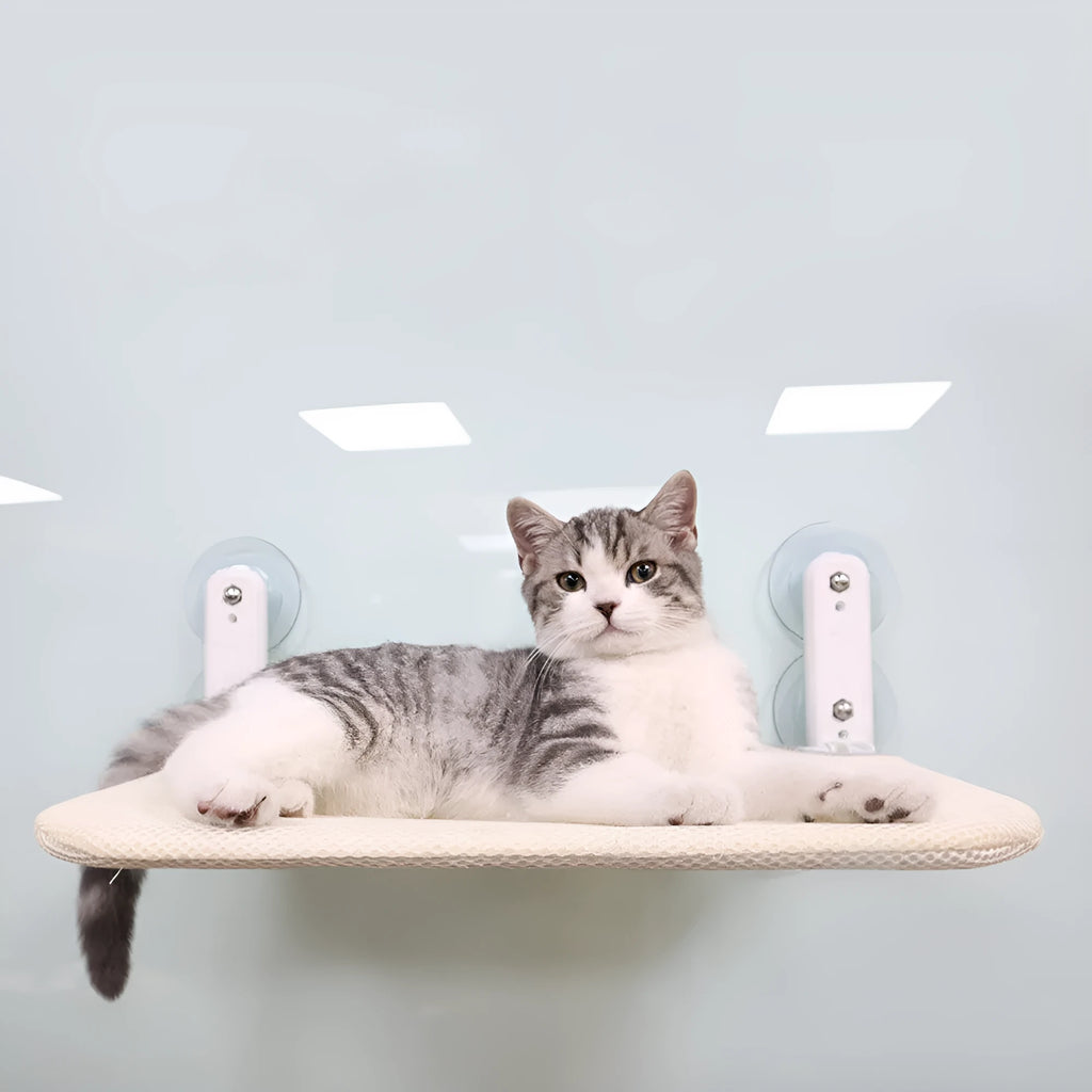 Stainless steel frame cat hammock with suction cups attached to a window, shown in beige mesh fabric.