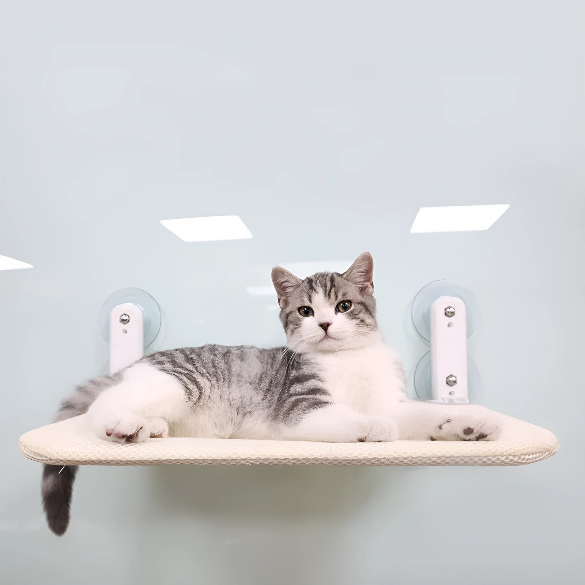 Stainless steel frame cat hammock with suction cups attached to a window, shown in beige mesh fabric.