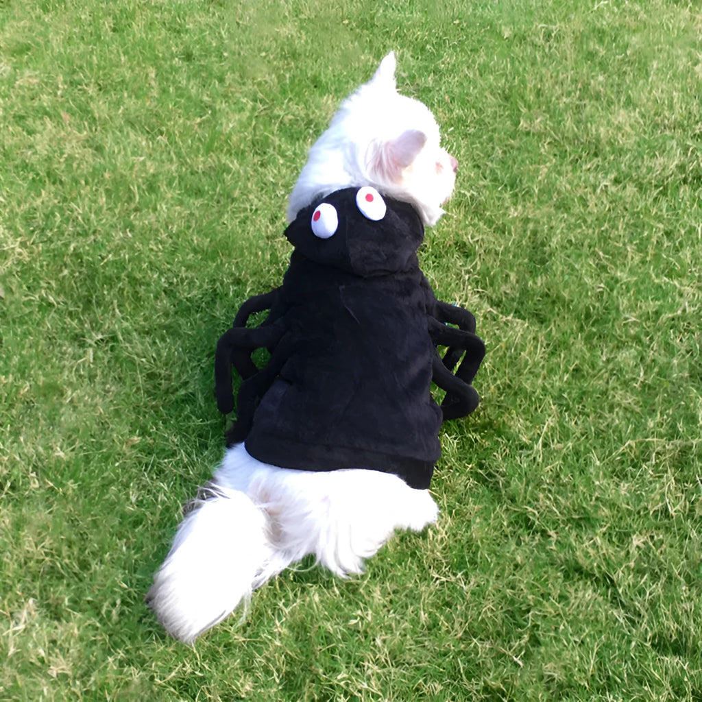 Polyester dog costume with black spider pattern for Halloween events in small, medium, or large sizes