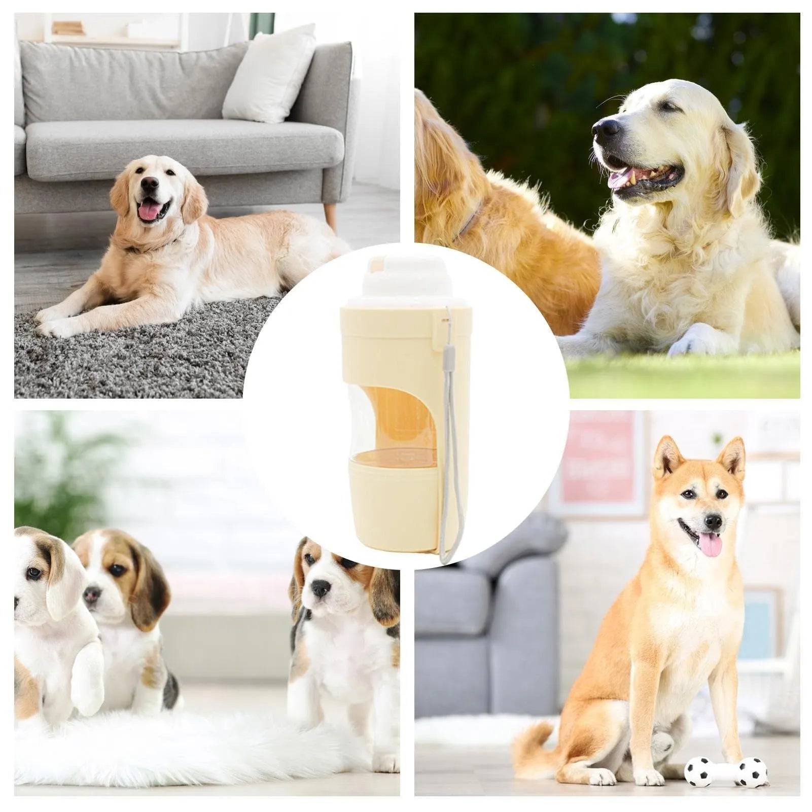 Green 2-in-1 travel dog water bottle and food container with attached lanyard, shown folded.