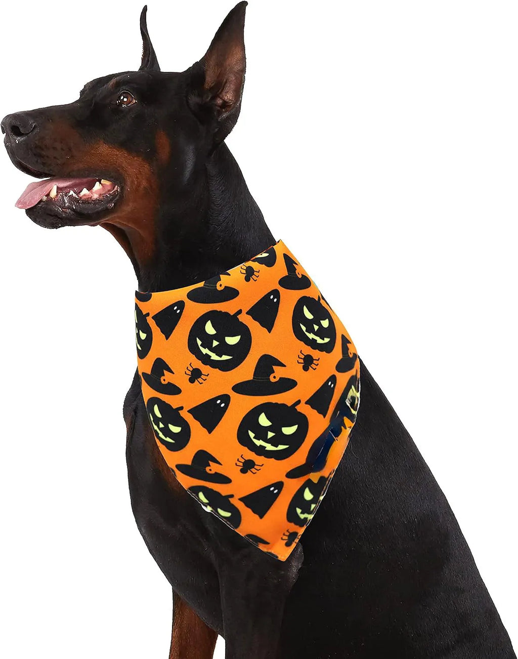 Halloween dog bandana with pumpkin and spider web patterns on reversible black and orange triangle bib