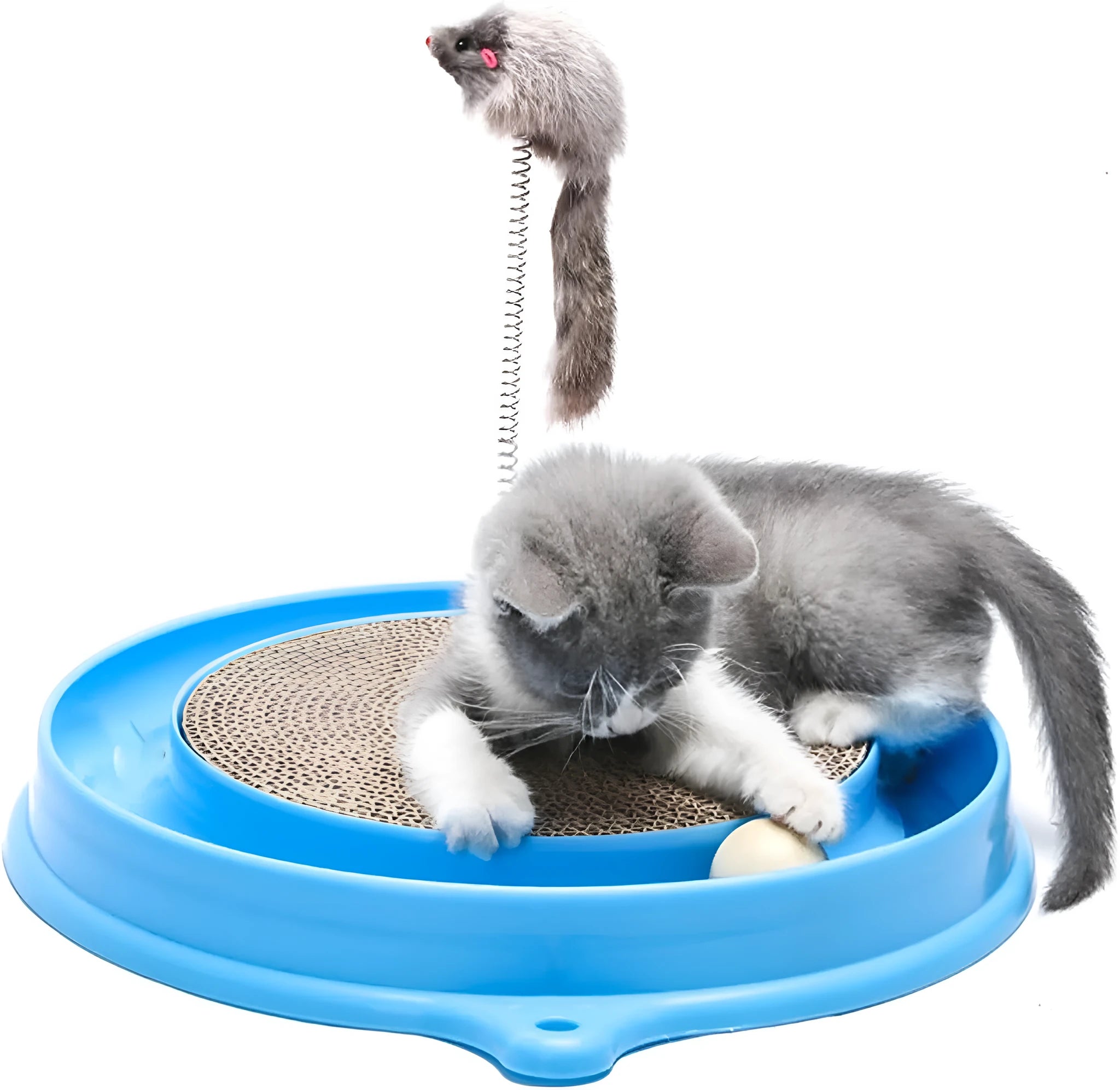 Blue circular cat scratcher with ball track and replaceable cardboard scratching centre