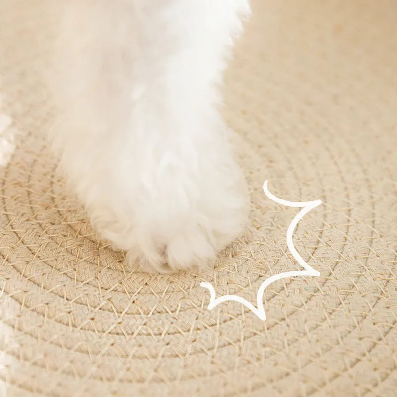 Green oval cat scratcher bed with sisal surface, showing bowl shape for scratching and sleeping