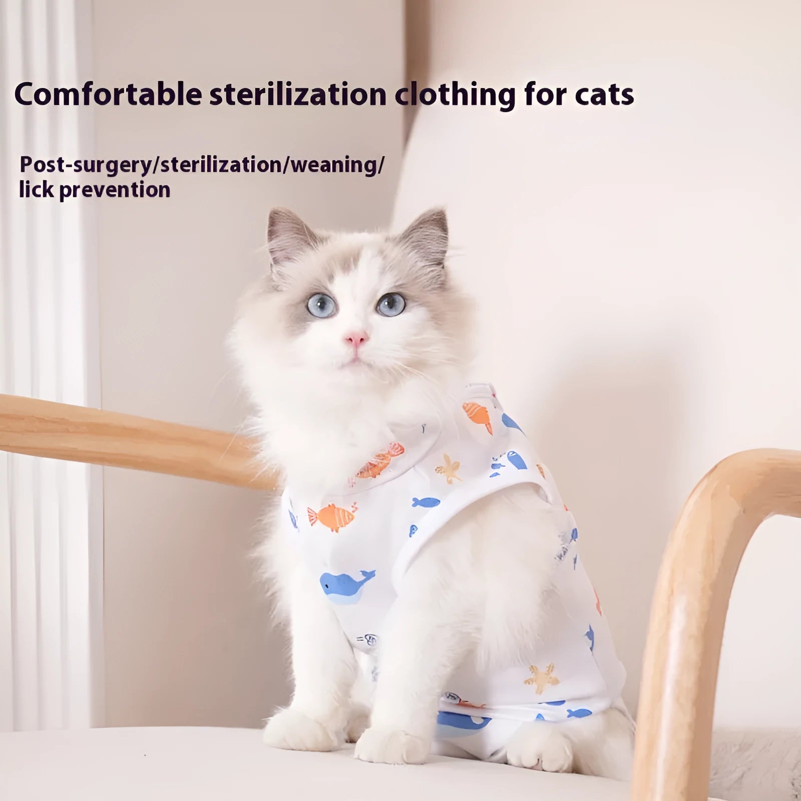 Cat wearing a post-operative sterilisation recovery suit with Velcro fastening and a printed pattern.