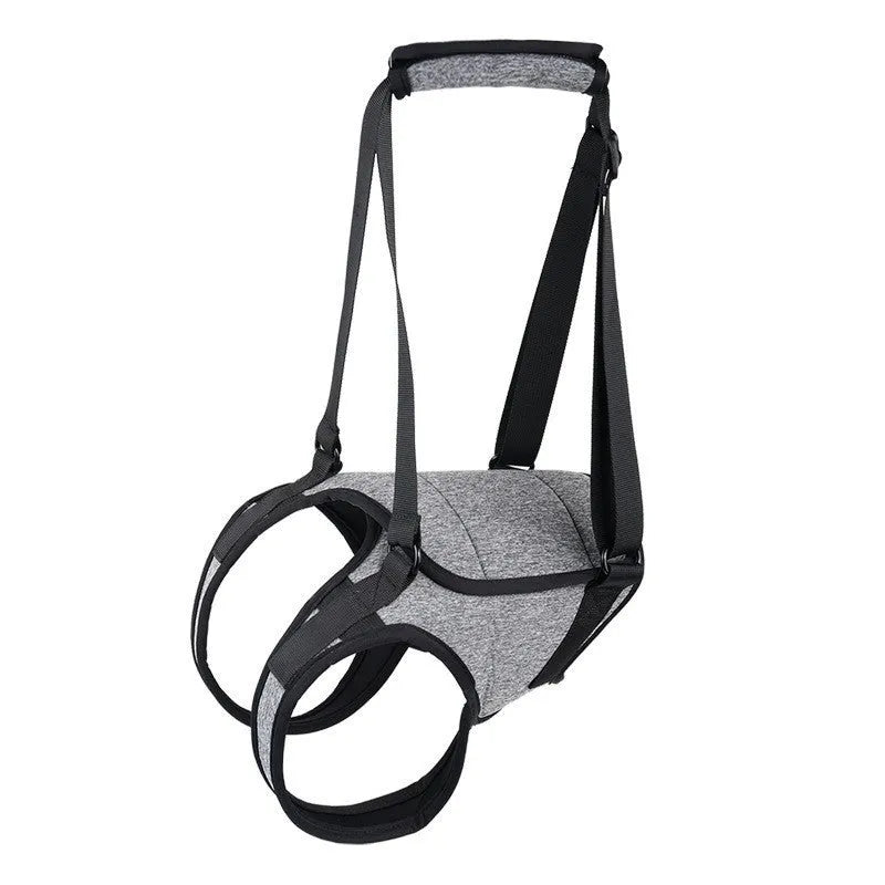 Grey neoprene dog recovery belt for hind leg support, L size adjustable fit