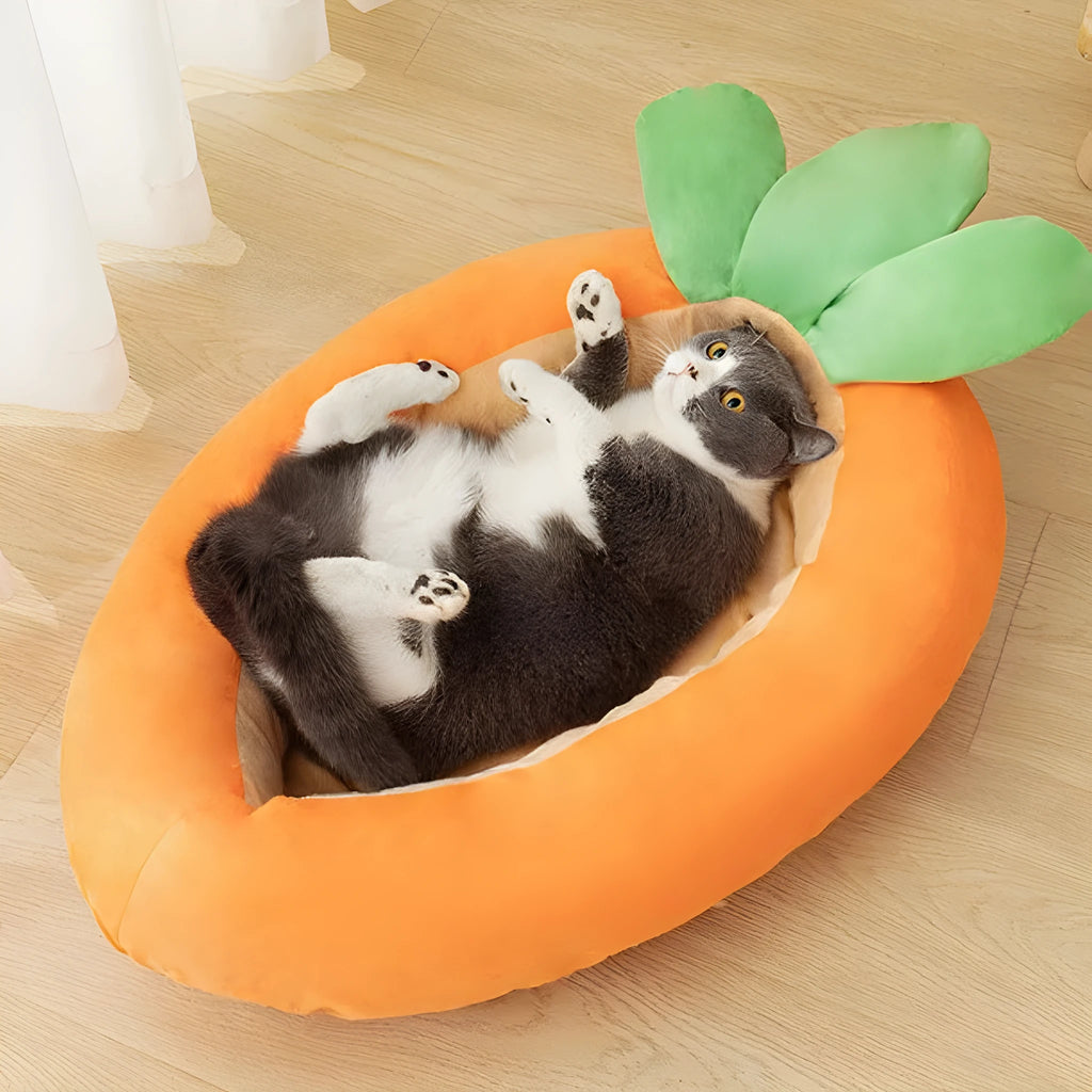 Carrot-shaped dog mattress with removable cover in carrot colour for pets up to 18 jin